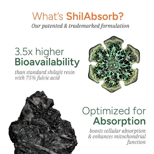 Shilajit Gummies Himalaya 3000mg | 60 Gomitas | Sabor Tamarindo | Sin Azúcar