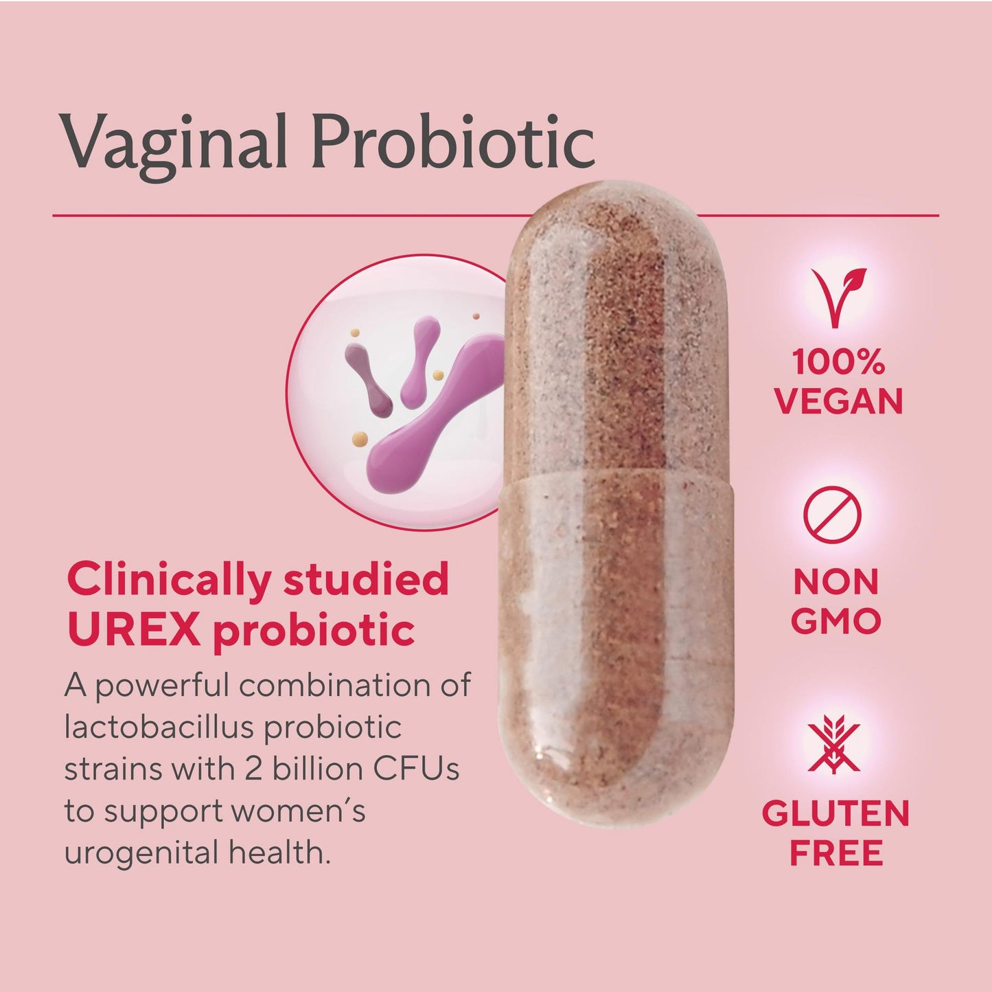 Probiótico Vaginal Mujer | 60 Cápsulas | Flora Íntima + Arándano + Prebióticos